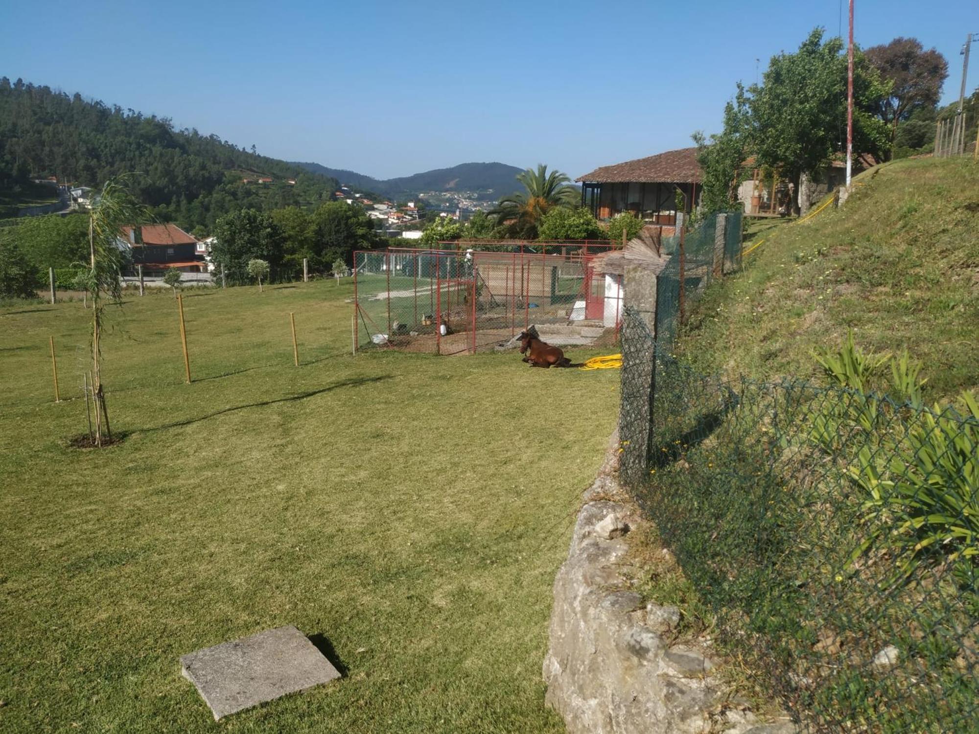 Quinta Dos Campos - Chale Vila Braga Exterior foto